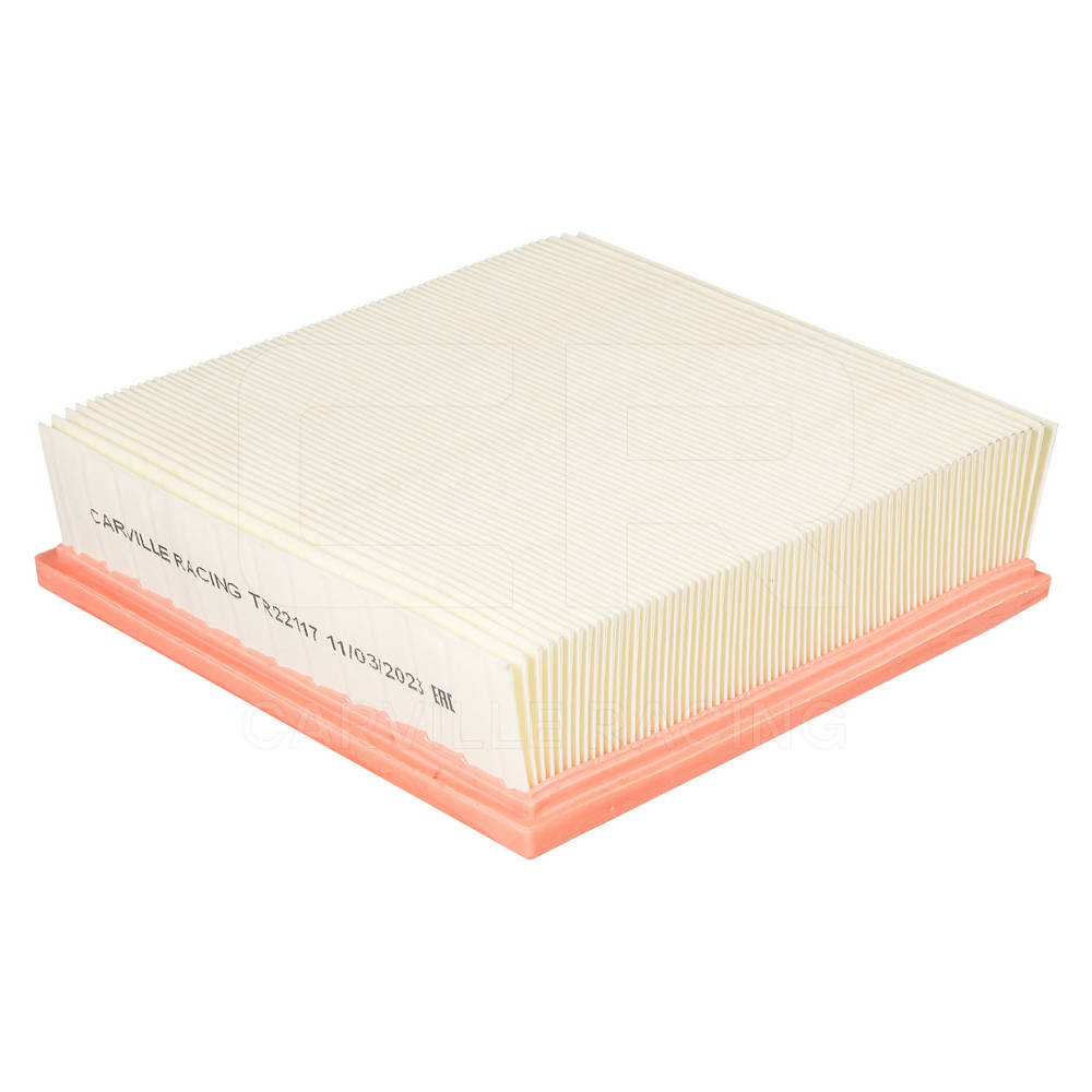 Air Filter (TR22117)