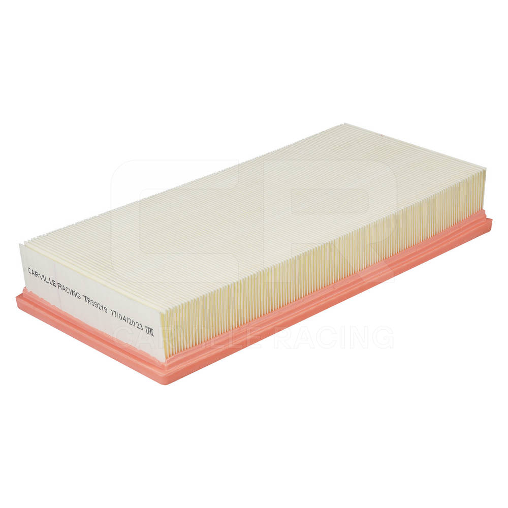 Air Filter (TR39219)