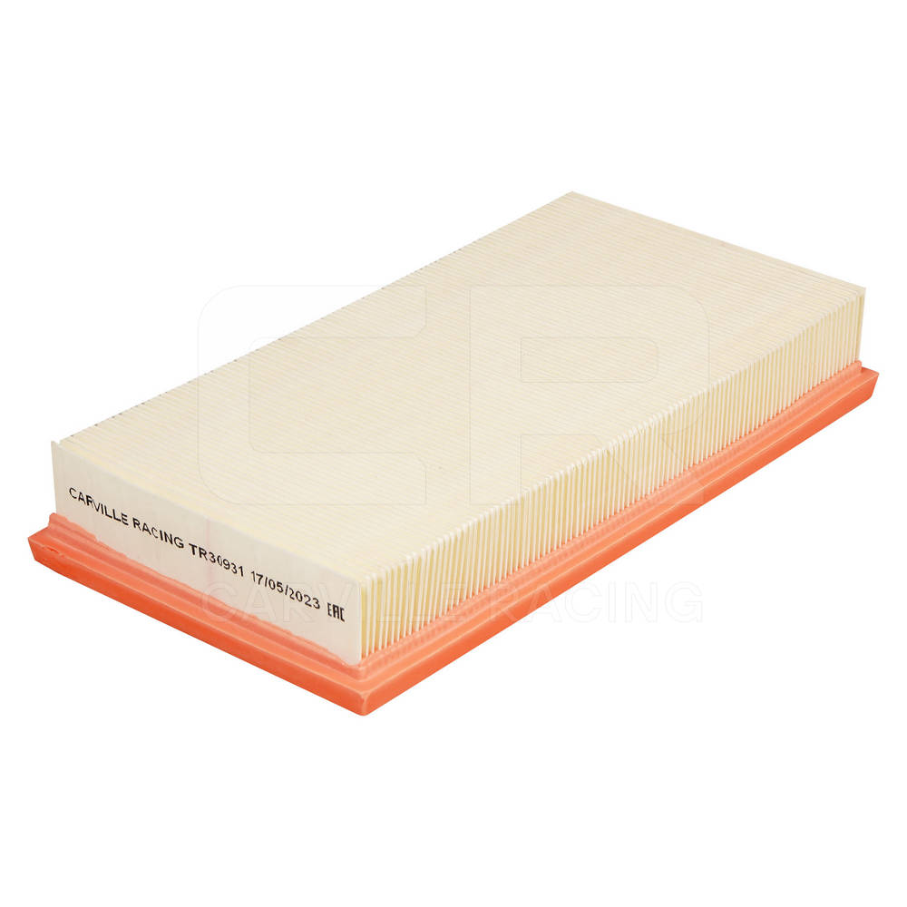 Air Filter (TR30931)