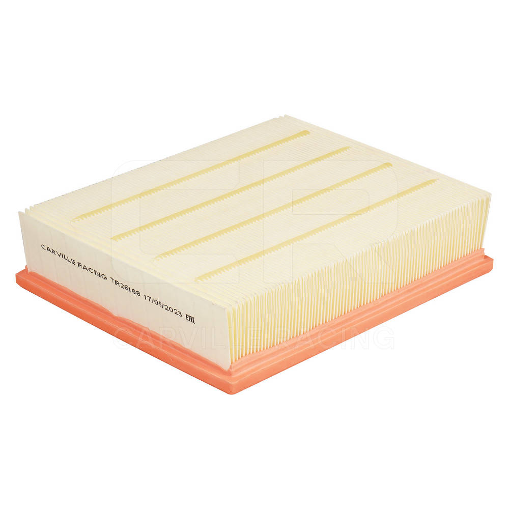 Air Filter (TR26168)