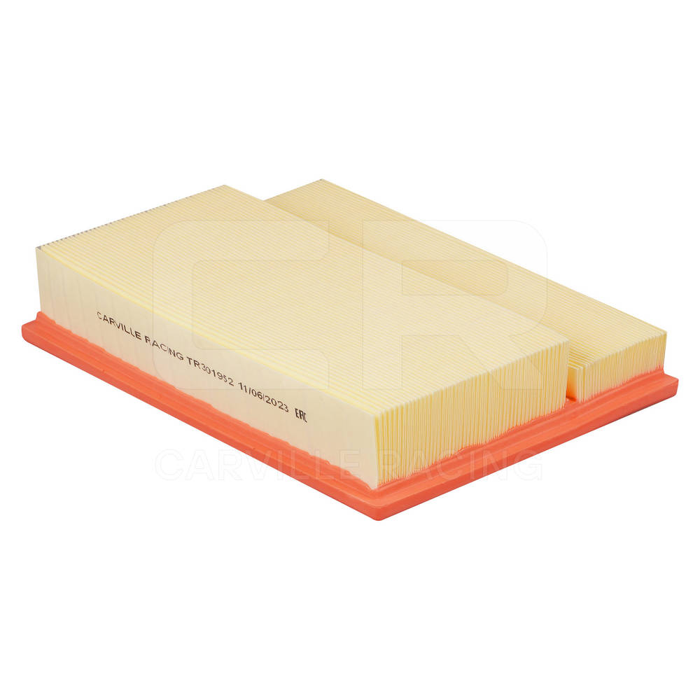 Air Filter (TR301952)