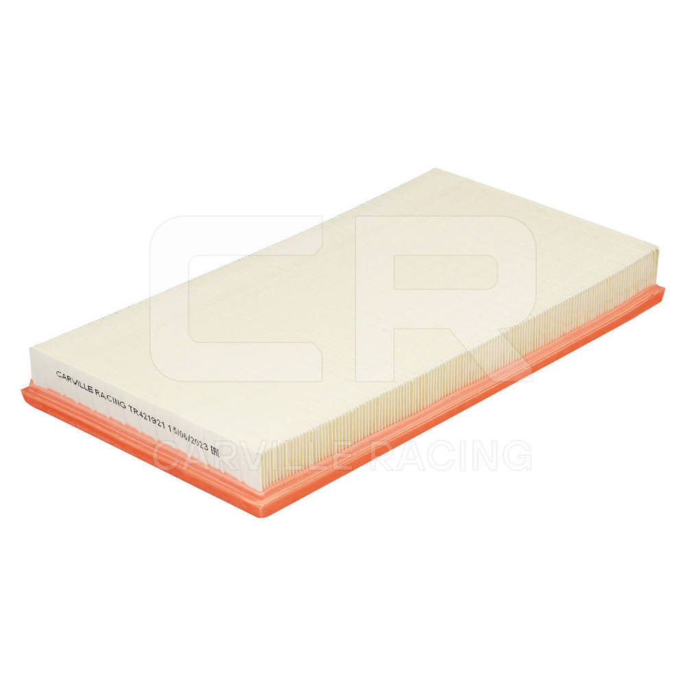 Air Filter (TR421921)