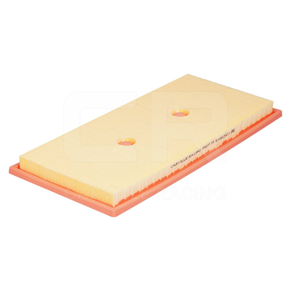 Air Filter (TR43139)