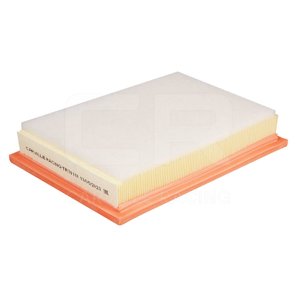 Air Filter (TR31116)