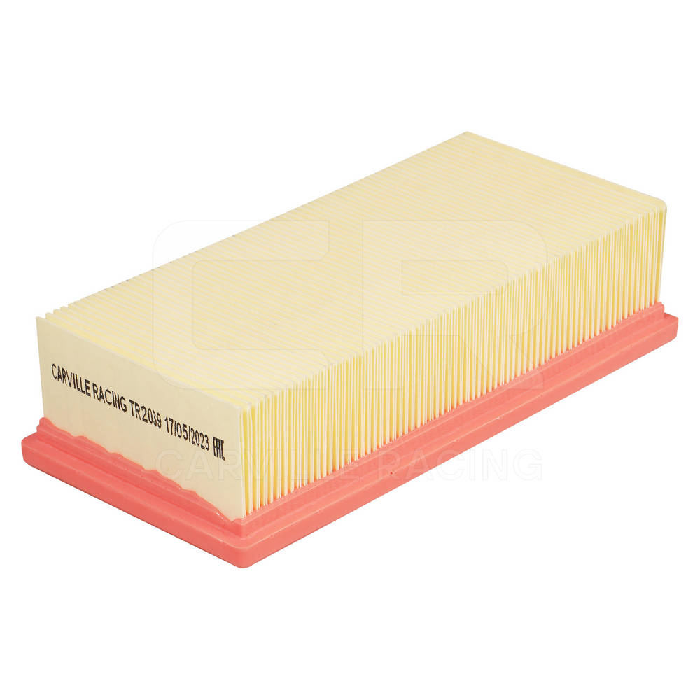 Air Filter (TR2039)