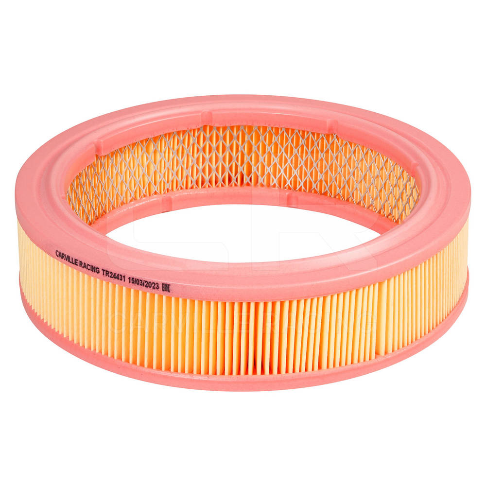 Air Filter (TR24431)