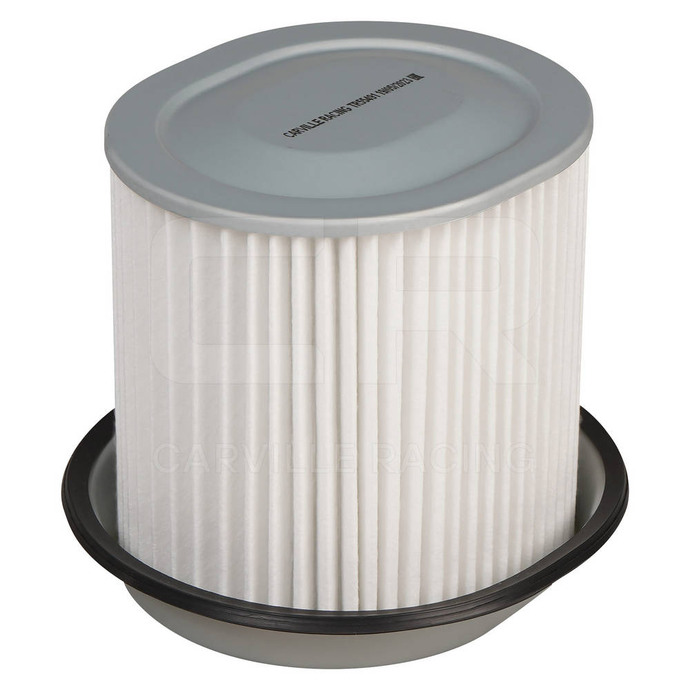 Air Filter (TR55491)