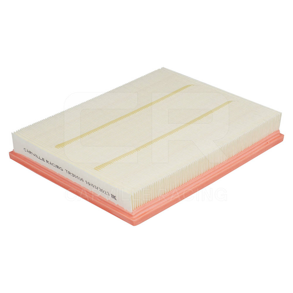 Air Filter (TR30130)