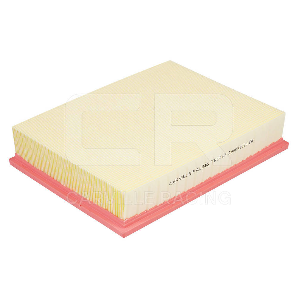 Air Filter (TR30195)