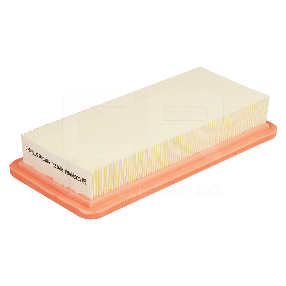 Air Filter (TR55658)