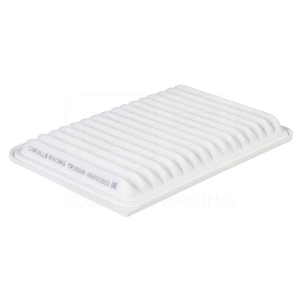 Air Filter (TR30009)