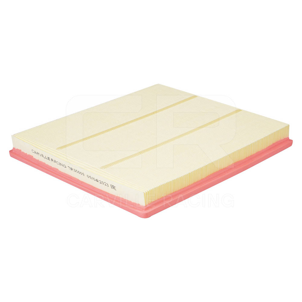 Air Filter (TR35009)