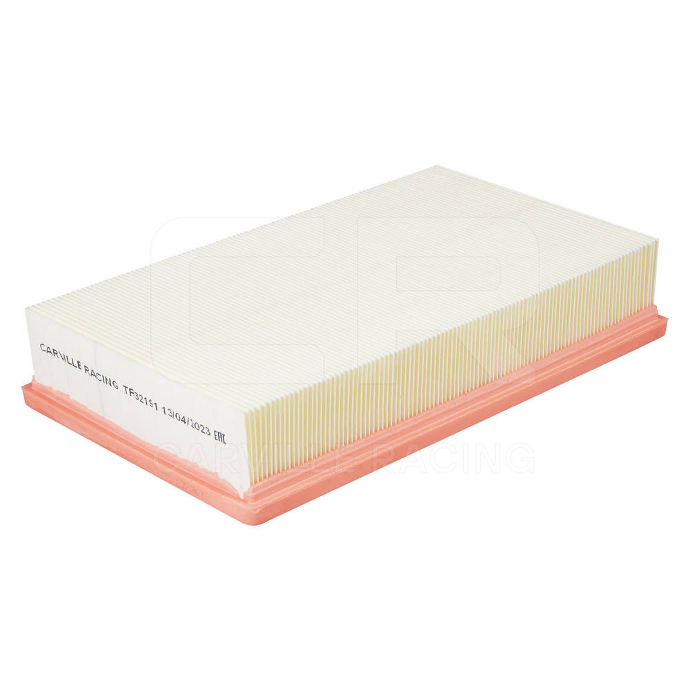 Air Filter (TR32191)