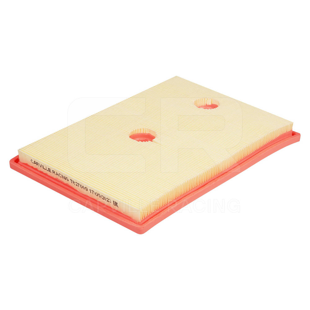 Air Filter (TR27009)