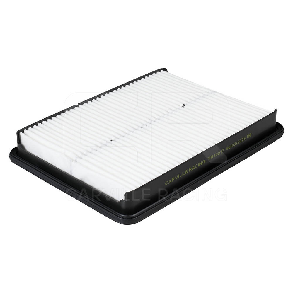 Air Filter (TR30017)