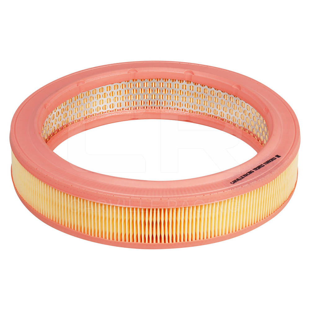 Air Filter (TR28522)