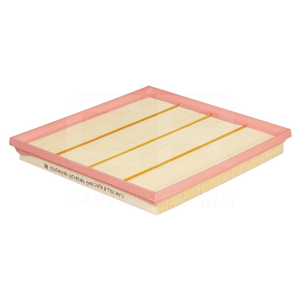Air Filter (TR28125)