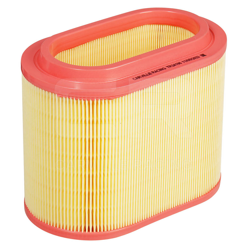 Air Filter (TR24196)