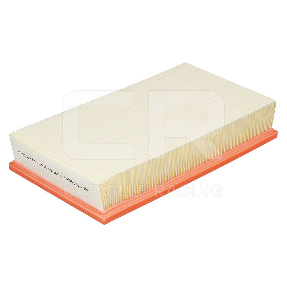 Air Filter (TR34175)