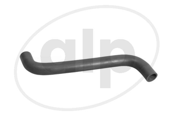 Radiator Hose (ALP-004239)