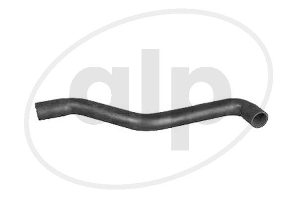 Radiator Hose (ALP-003762)