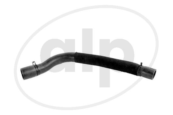 Radiator Hose (ALP-004437)