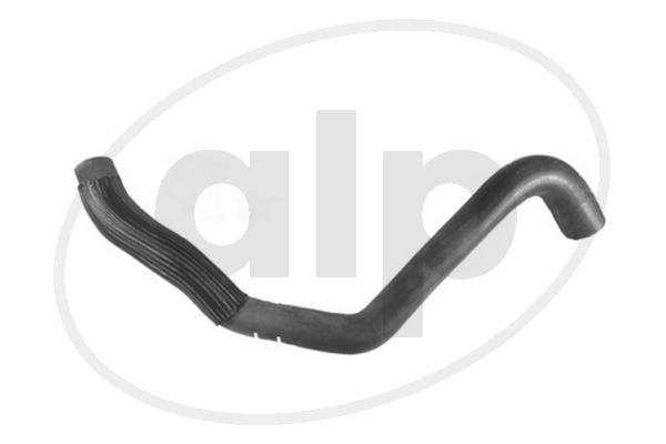 Radiator Hose (ALP-005589)