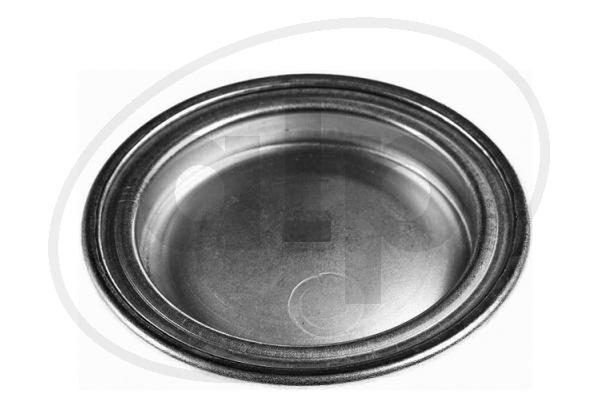 Cap, carburettor (ALP-002320)