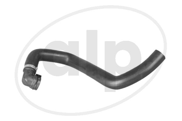 Radiator Hose (ALP-004335)