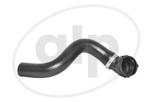 Radiator Hose (ALP-004432)