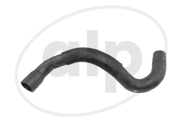 Radiator Hose (ALP-005635)