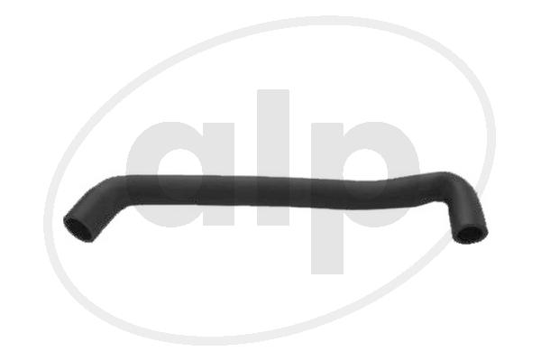 Hose, cylinder head cover ventilation (ALP-004091)