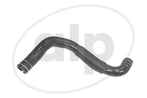 Radiator Hose (ALP-003785)