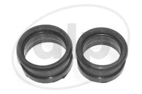 Charge Air Hose (ALP-002118)