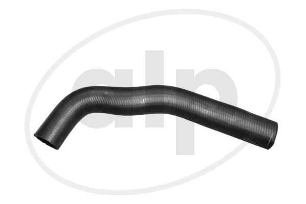Radiator Hose (ALP-003587)