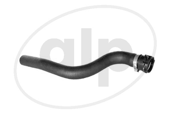 Radiator Hose (ALP-004255)