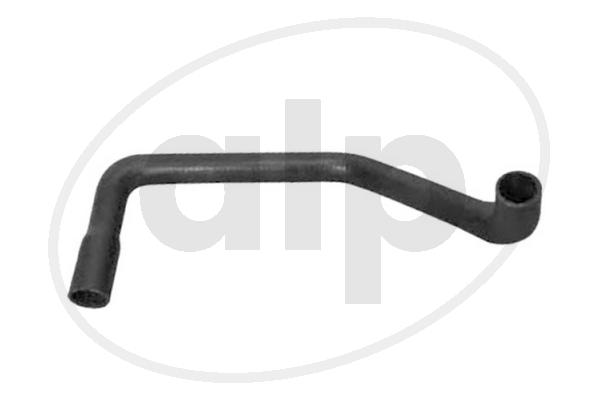 Radiator Hose (ALP-004250)