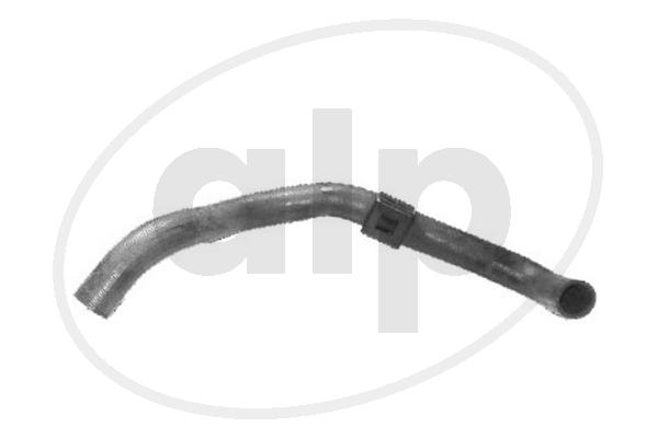 Radiator Hose (ALP-003945)