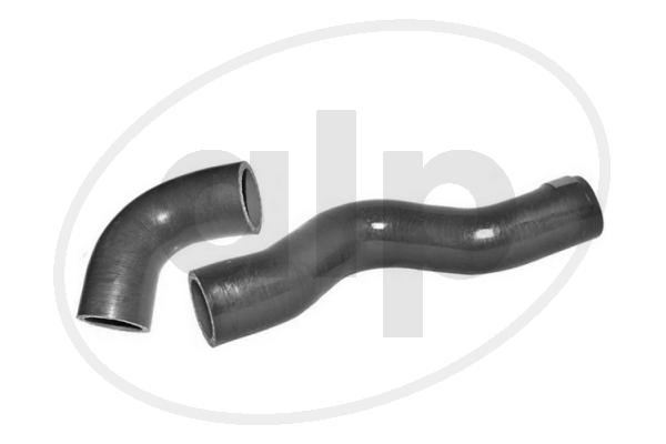Charge Air Hose (ALP-007763)