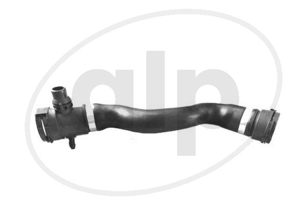 Radiator Hose (ALP-005682)