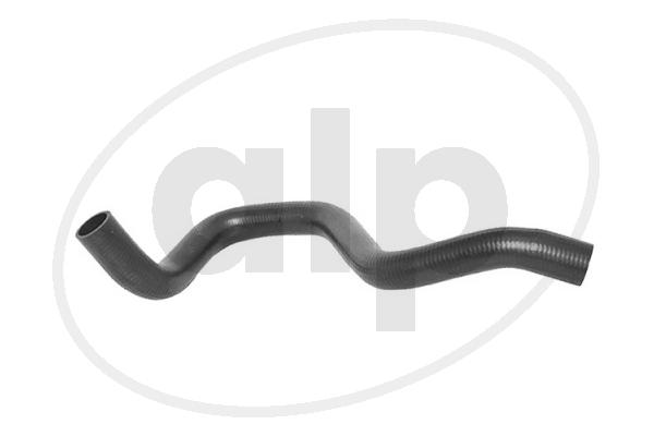 Radiator Hose (ALP-004144)