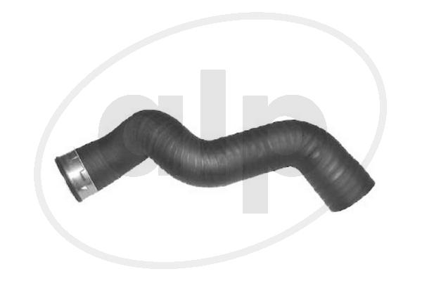 Charge Air Hose (ALP-004287)