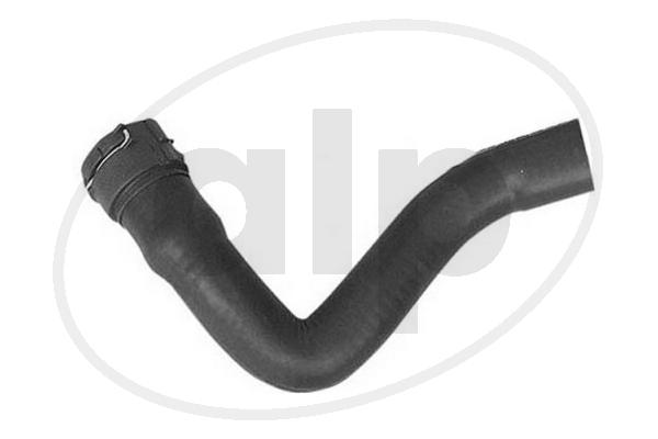 Radiator Hose (ALP-005698)