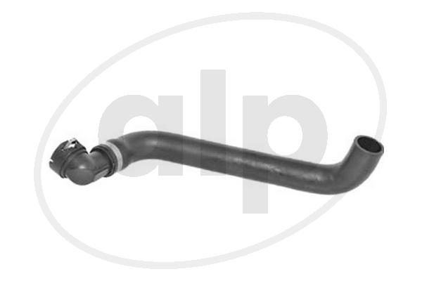 Radiator Hose (ALP-004424)