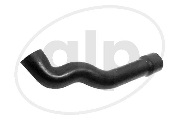 Radiator Hose (ALP-004443)