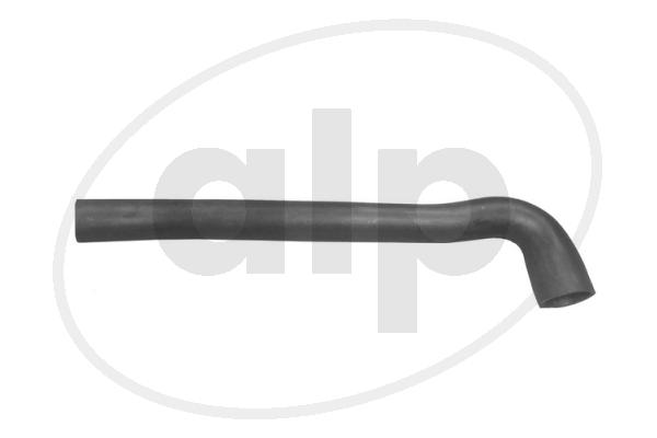 Radiator Hose (ALP-003523)