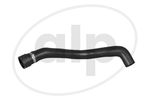 Radiator Hose (ALP-004253)