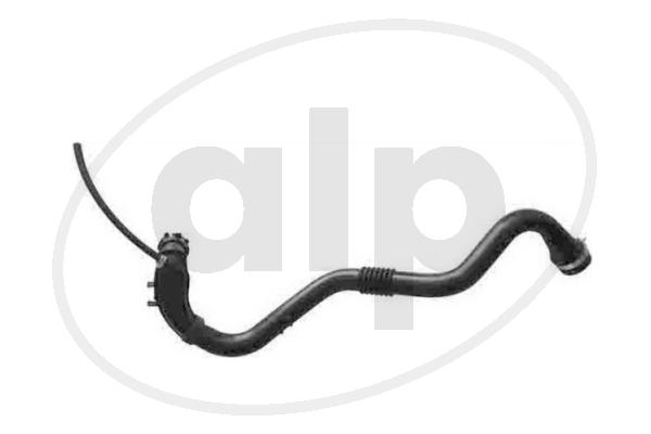 Charge Air Hose (ALP-006106)