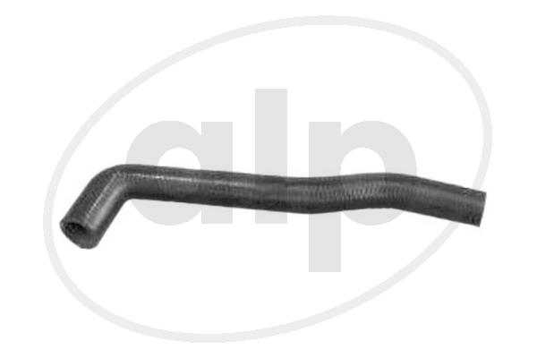 Radiator Hose (ALP-003595)