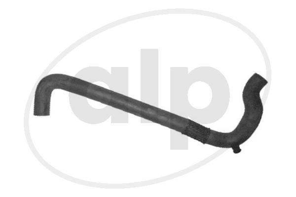 Radiator Hose (ALP-004438)